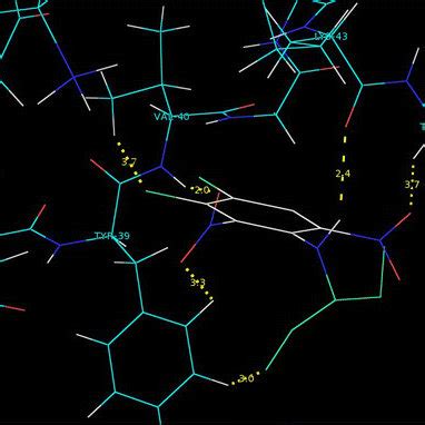 Chemical structure of Pendimethalin | Download Scientific Diagram