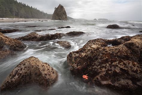 A picture from one of my favorite beaches, Rialto Beach in Olympic National Park, WA [OC ...