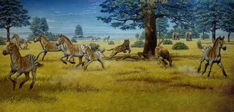 Miocene Epoch – Mauricio Anton | Prehistoric wildlife, Prehistoric animals, Prehistoric world