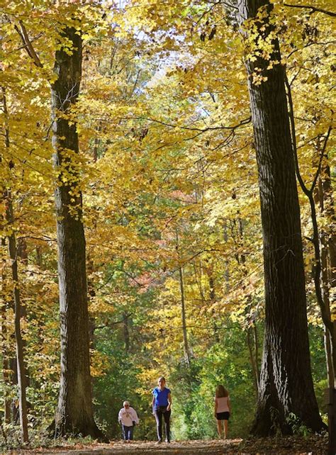 Fall foliage is on full display in Northeast Ohio (photo gallery ...