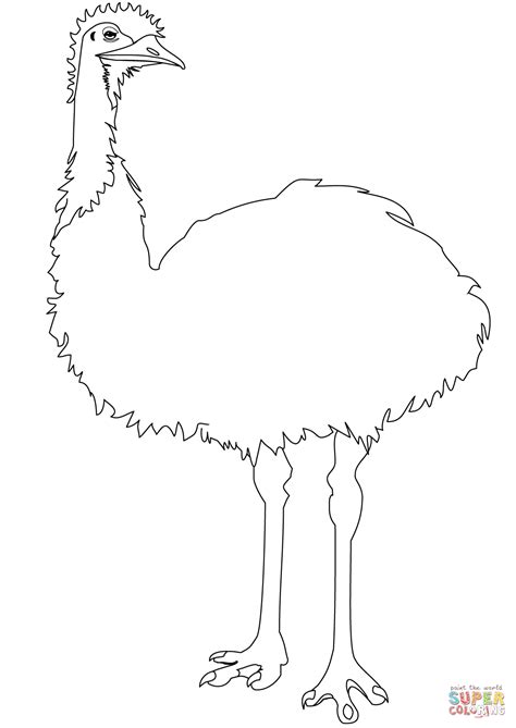 Emu coloring page | Free Printable Coloring Pages