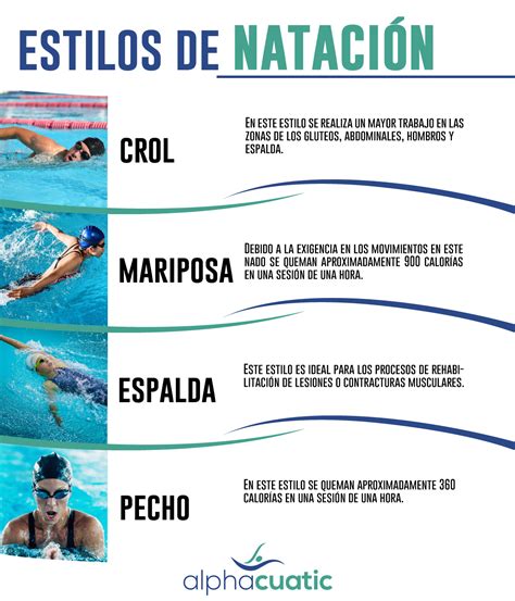 cantidad de ventas Despertar télex tipos de estilos de natacion Gallina ...