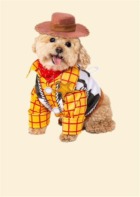 Disney now sells Halloween costumes for pets - Fashion Journal