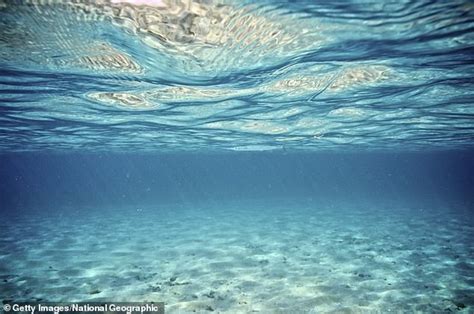 The ocean floor is DISSOLVING rapidly, study warns - WSTale.com