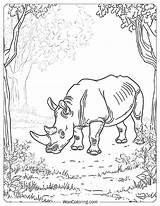 100  Rhino coloring pages Free PDF To Print Woo Coloring sketch template