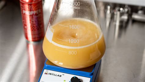 How to Make a Yeast Starter - Hazy and Hoppy