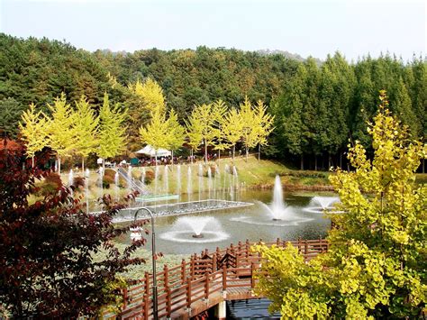 THE 15 BEST Things to Do in Cheongju (2024) - Must-See Attractions