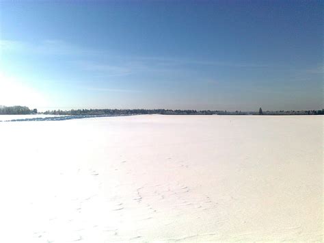 Estonians about Estonia: Winter in Estonia