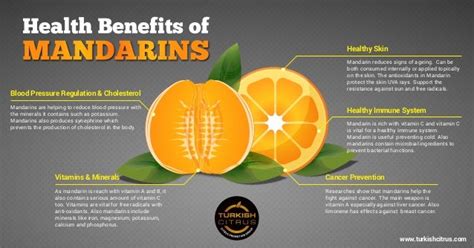 Mandarin Nutritional Benefits | Besto Blog