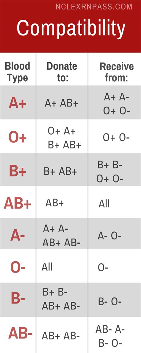 NCLEX-RN Pass | Blood Compatibility Made Easy | Medical studies, Medical student study, Ab positive