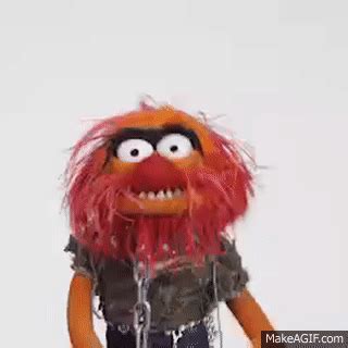 Animal Muppets Gif