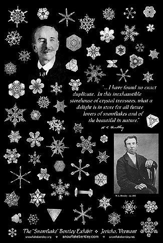 Wilson Bentley quote and snowflakes. Snowflakes Science, Winter ...