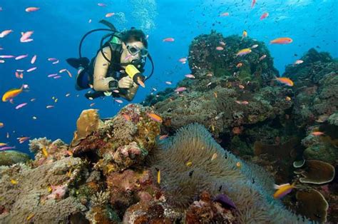 20 Best Dive Travel Tips - Fly & Sea Dive Adventures