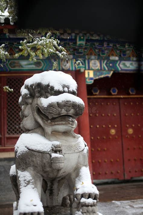 The Stone Lion Statue is Covered with Thick Snow in Peking University Stock Photo - Image of ...