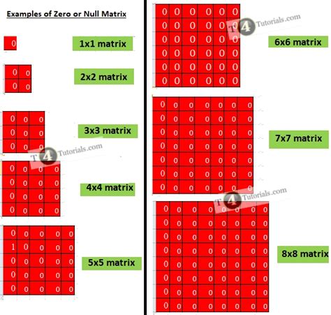 Examples of Zero or Null Matrix – T4Tutorials.com