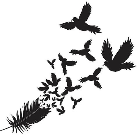 Raven Feather Illustrations, Royalty-Free Vector Graphics & Clip Art ...