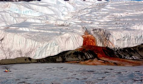 Antarctic Photo Library - Photo Details - BLOOD_FALLS.JPG