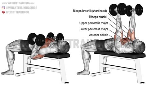 Hammer-grip Dumbbell Bench Press – Fitness Volt Bodybuilding & Fitness Magazine