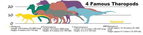 The Main 4 (Theropod Height Chart) *Update* by Asuma17 on DeviantArt