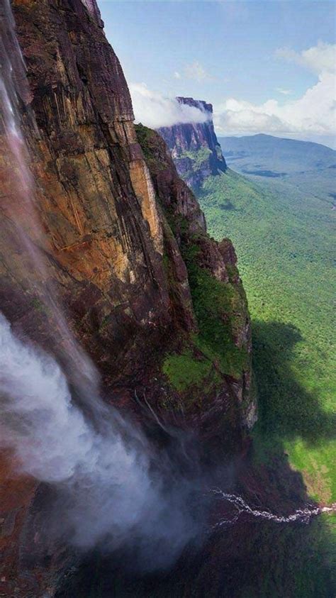 Angel Falls (Canaima National Park) - backiee