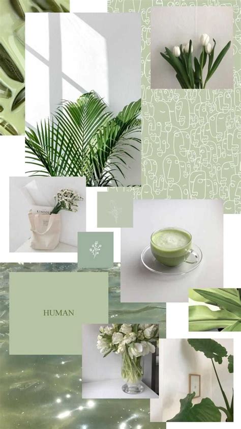 Sage Green Aesthetic Wallpaper Discover more aesthetic iphone, aesthetic pictures, colla… | Mint ...