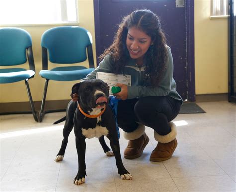 Santa Clara County plans modern no-kill animal shelter