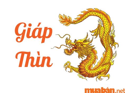 Tuổi Thìn hợp màu gì? Kỵ màu gì trong phong thủy?