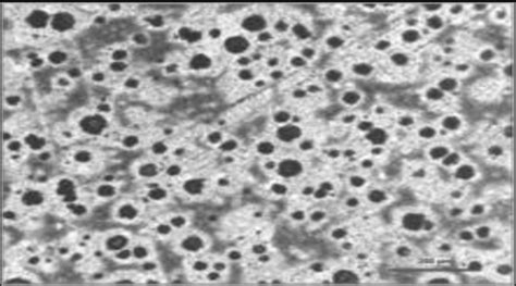 microstructure of ductile iron at 100 x | Download Scientific Diagram