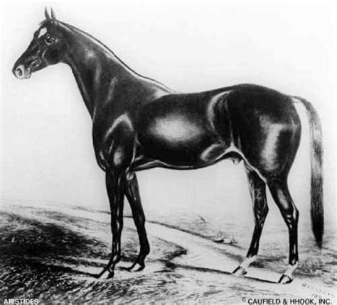 Aristides (1872–1893) American Thoroughbred racehorse chestnut stallion ...