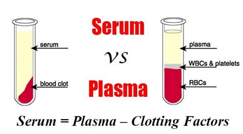 Serum and Plasma Difference - IzabellacelAbbott