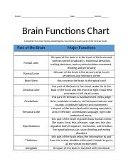 Brain Functions Chart.docx - Name: Date: Period: Brain Functions Chart Complete the chart below ...