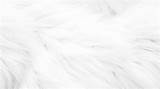 Organic Fur Texture Background Skin  sketch template