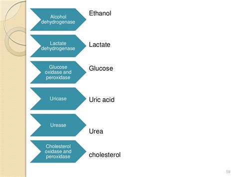 isoenzymes