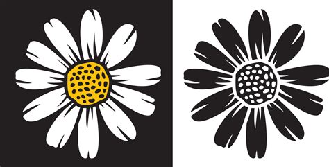 Daisy flower vector 4734153 Vector Art at Vecteezy