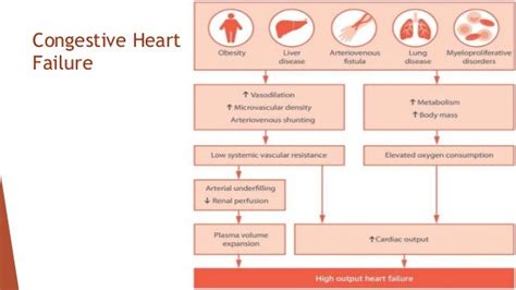 Arteriovenous vascular access complications