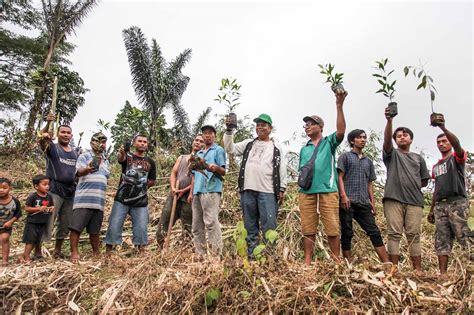 Lakukan Penanaman Pohon, Masyarakat DESA MARTELU Rawat & Jaga Tanah Ulayat - MEDANTODAY.COM ...