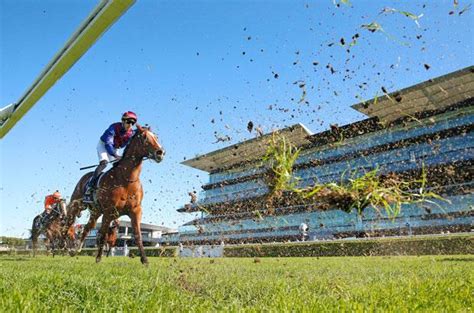 Randwick Tips and best bets for The Big Dance 2023