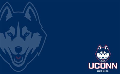 🔥 [49+] UConn Huskies Wallpapers | WallpaperSafari