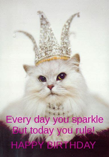 cat-happy-birthday-memes