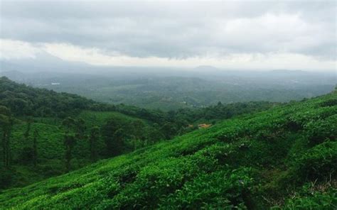 This Heart-Shaped Lake Atop Wayanad's Chembra Peak Is A Sight For The ...