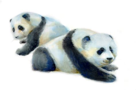 Baby Pandas - Frank Gee