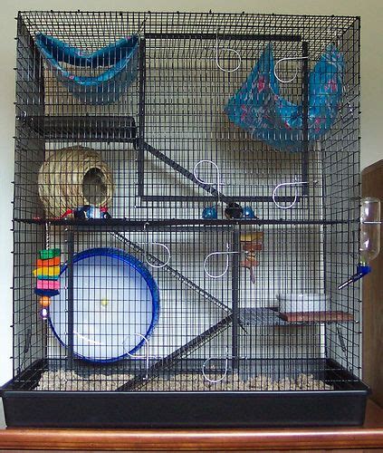 rat cage design - חיפוש ב-Google | Rat cage, Pet rats, Design