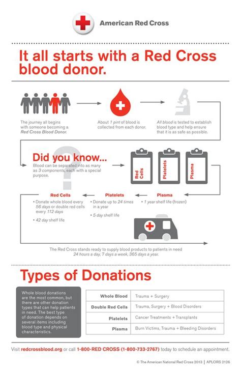 The Blood Donation Process & The Use of Donation Types | Medical Minded