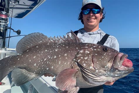 Types of Grouper in Florida: A Comprehensive Guide to Findin - Florida Sportsman