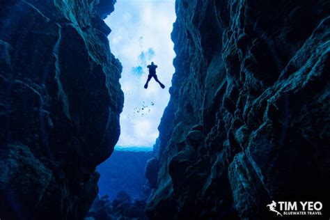 Diving in Iceland - Bluewater Dive Travel