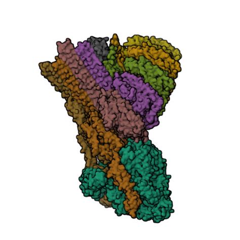 RCSB PDB - 8B0G: 2C9, C5b9-CD59 structure