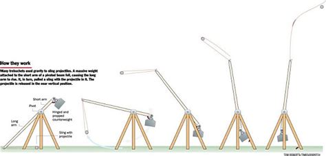 Trebuchet Physics