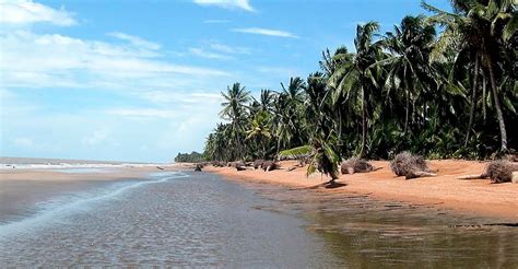 Shell beach Guyana | Enchanted Expeditions