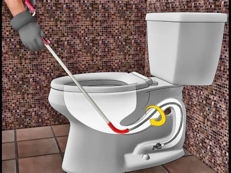 How to Unclog a Toilet with a Snake Easily - Homeaholic