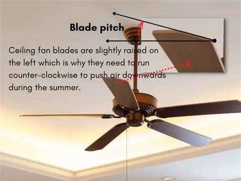 Which Way Do Ceiling Fan Blades Go In Summer | Shelly Lighting